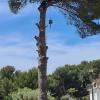 Giménez Forestal