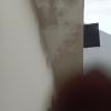 Pinturas Vicma