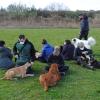 socialización canina