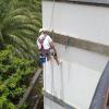 Reparaciones Pintor Y Trabajos Verticalestemi