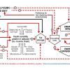 Fase dinámica del desarrollo de la obesidad