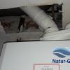 Calderas Natur-Gas 626023390