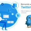 Servicio - Publicidad en Twitter Ads