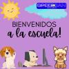 Speedcan Adiestramiento