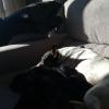 Max al sol