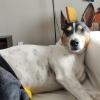Max descansa1
