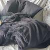 Turbi descansa
