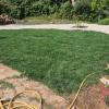 Full Garden