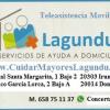 Lagundu Servicios Asistenciales Sl