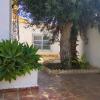 Limpieza jardin