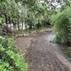 Limpieza jardín 