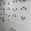 Drywall Sl