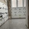 Drywall Sl