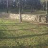 Muro de piedra en campo