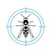 Final Bug