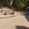 Jardinería Y Servicios Hnos Barrera