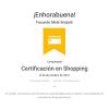Certificación Oficial Google Ads Shopping