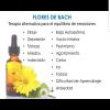 Saramente Naturopatía Y Psicoterapia Especializada