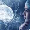Neuropsicología Para La Ansiedad Y Pánico