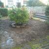 Limpieza de césped y resiembra. Renovar el jardín 