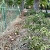 Ar Jardinería