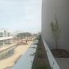 Ar Jardinería