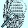 Investigador Huellas  Rastros