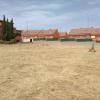 Ea  Servicios Forestales Y Jardines