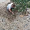 Solado de piedra en jardín 