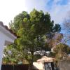 Tu Jardín Al Día