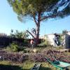Tu Jardín Al Día