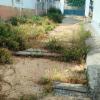 Antes