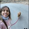 Evangelina