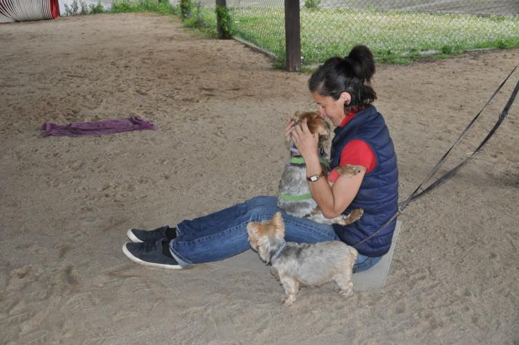 Perrito Anda y Ladra con Cable Dirigido