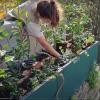 Instalación de jardineras.