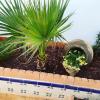 Verdegon Jardinería