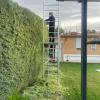 Verdegon Jardinería