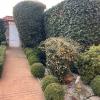 Verdegon Jardinería