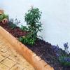 Verdegon Jardinería