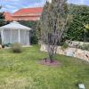 Verdegon Jardinería