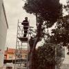 Verdegon Jardinería