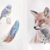 Ilustraciones animales.