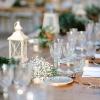 The Lux Weddings
