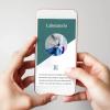 Diseño de id visual   diseño y desarrollo web clínica veterinaria (Asturias)