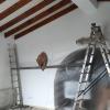 Reparación de grieta y humedad en techo