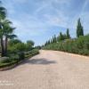 Mallorca Jardineria