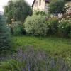 Trabajo de jardinería en jardín