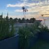 Jardinería en macetas y jardineras