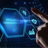 Servicios de Project Manager