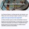 Isla Kártare Agencia Y Escuela De Arte Online Y Presencial